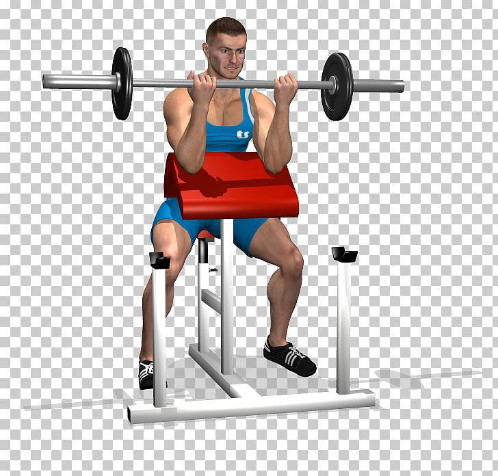 Barbell Bench Shoulder Biceps Panca Scott PNG, Clipart, Abdomen, Arm, Balance, Barbell, Bench Free PNG Download