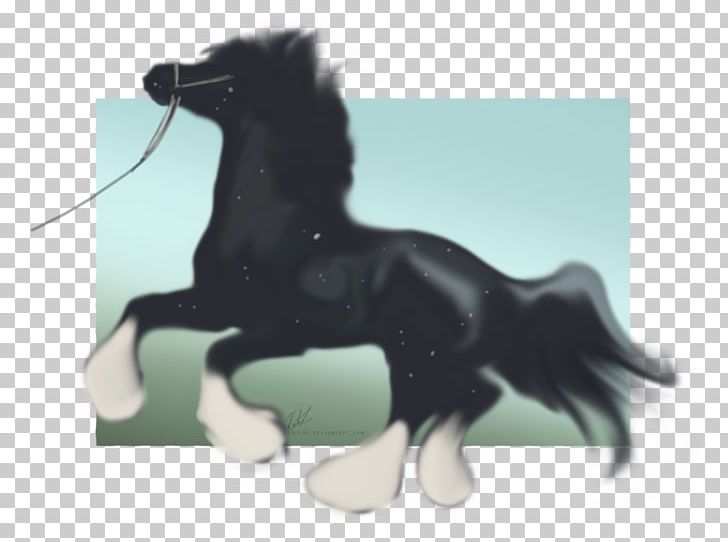 Stallion Mustang Pony Mane Pack Animal PNG, Clipart, Conformation Show, Horse, Horse Like Mammal, Livestock, Mane Free PNG Download