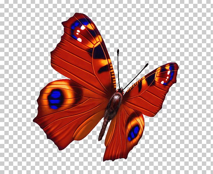 Butterfly Photography PNG, Clipart, Arthropod, Balloon Cartoon, Brush Footed Butterfly, Cartoon, Cartoon Character Free PNG Download