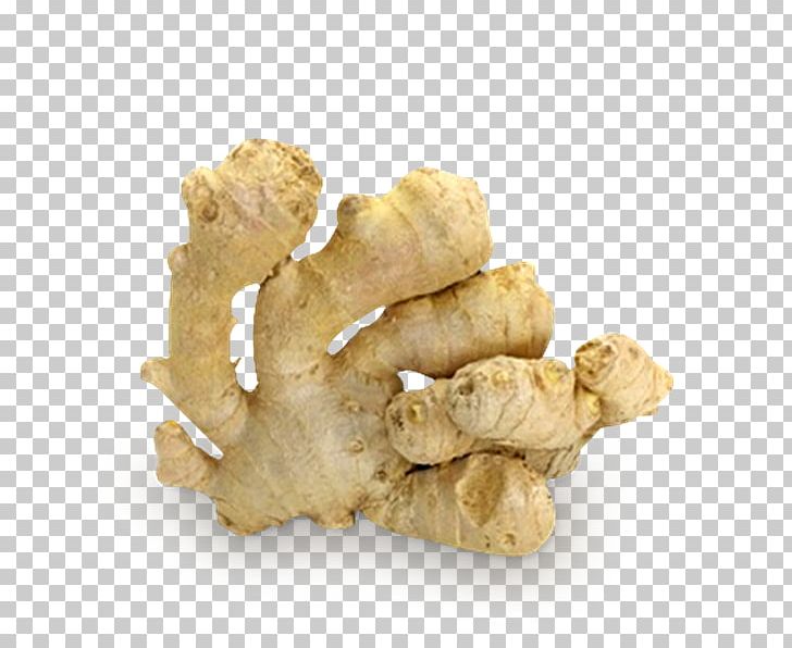 Ginger Oleoresin Turmeric Mumps Extract PNG, Clipart, Curcumin, Extract, Food, Free, Galangal Free PNG Download
