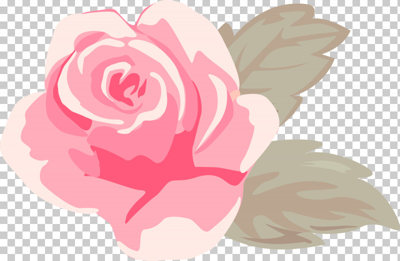 Garden Roses PNG, Clipart, Flower, Garden Roses, Hybrid Tea Rose, Petal, Pink Free PNG Download