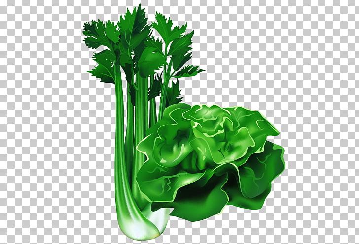 Leaf Vegetable Cartoon Food PNG, Clipart, Balloon Cartoon, Boy Cartoon, Cartoon, Cartoon Character, Cartoon Cloud Free PNG Download