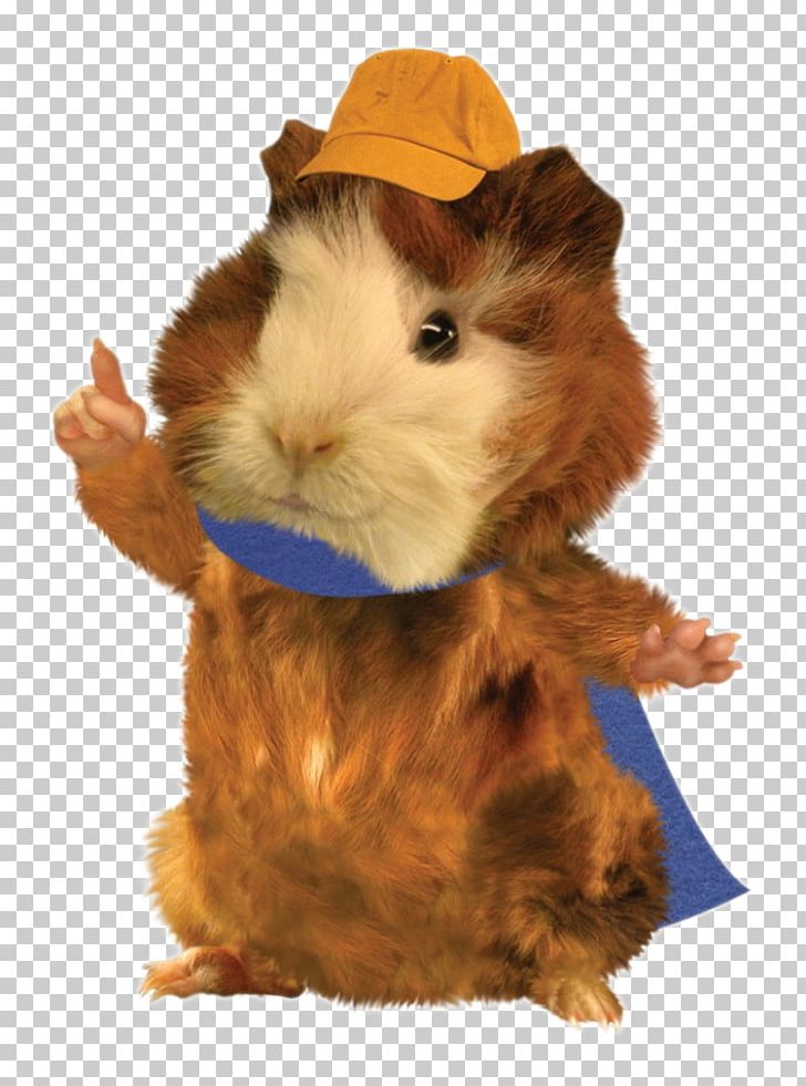 Linny The Guinea Pig Ming-Ming Duckling Nick Jr. Save The Wonder Pets! PNG, Clipart, Bubble Guppies, Fairly Oddparents, Fur, Go Diego Go, Guinea Pig Free PNG Download