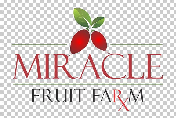 Logo Brand Font Product Fruit PNG, Clipart, Area, Brand, Fruit, Logo, Miraculous Free PNG Download