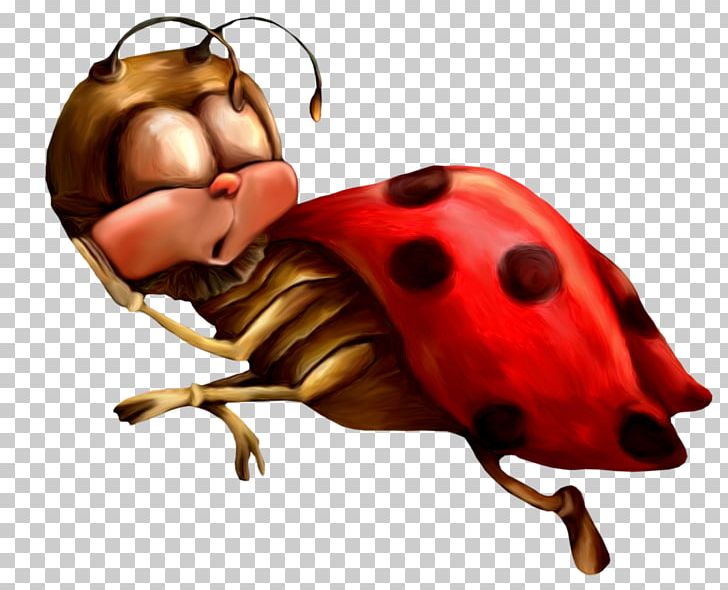 English Ladybird PNG, Clipart, Beetle, Coccinella Septempunctata, Decoration, Euclidean Vector, Food Free PNG Download