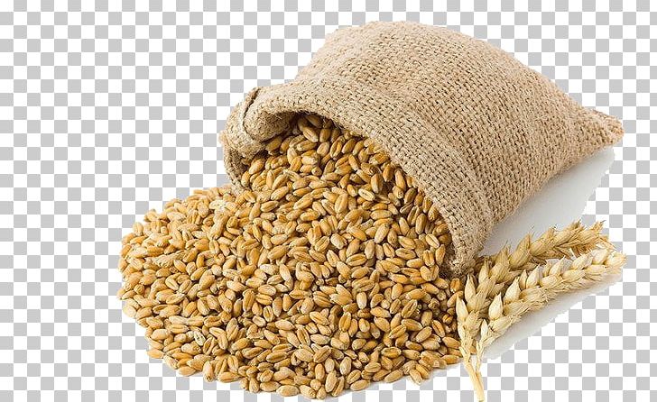 Grist Beer Malt Cereal Braumalz PNG, Clipart, Barley, Beer, Bread, Breakfast, Cereal Free PNG Download