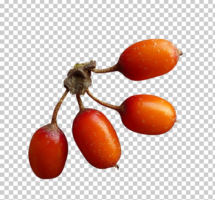 Vegetarian Cuisine Superfood Rose Hip Plum Tomato PNG, Clipart, Diospyros, Food, Fruit, La Quinta Inns , Miscellaneous Free PNG Download