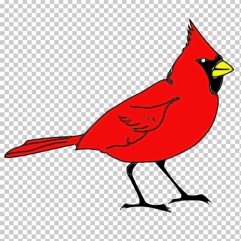 Bird Northern Cardinal Cardinal Beak Songbird PNG, Clipart, Beak, Bird, Cardinal, Northern Cardinal, Perching Bird Free PNG Download