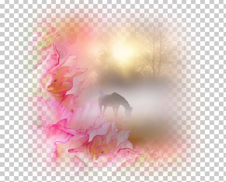 Horse Desktop Unicorn PNG, Clipart, Blossom, Branch, Brush, Child, Christmas Free PNG Download