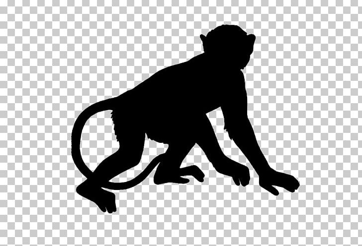 Monkey Drawing PNG, Clipart, Animals, Big Cats, Black, Black And White, Carnivoran Free PNG Download
