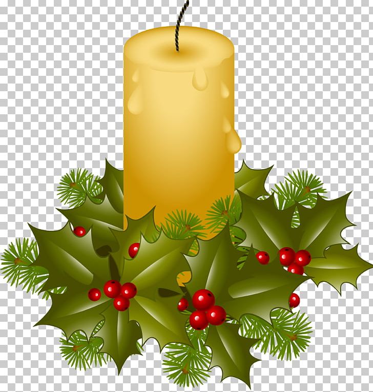 Christmas Ornament Christmas Decoration PNG, Clipart, Aquifoliaceae, Aquifoliales, Bombka, Candle, Cat Free PNG Download