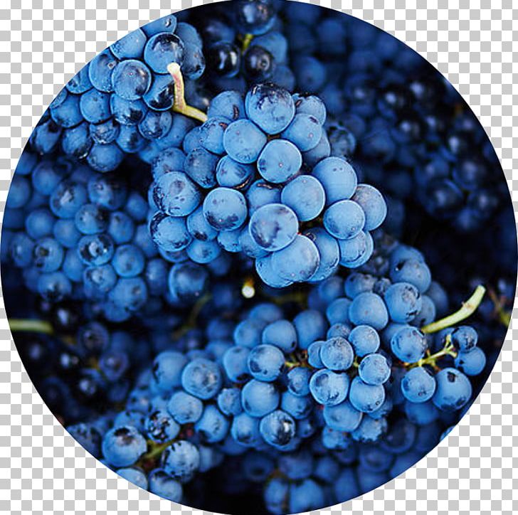 Common Grape Vine Author Wine Zante Currant PNG, Clipart, Author, Berry, Bilberry, Blueberry, Byron Katie Free PNG Download