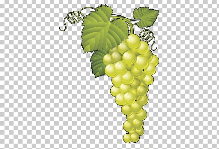Sultana Common Grape Vine Wine Graphics PNG, Clipart, Common Grape Vine, Flowering Plant, Food, Fruit, Fruit Nut Free PNG Download