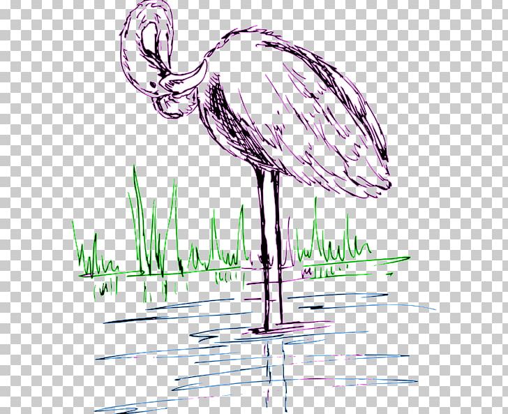 Water Bird Drawing PNG, Clipart, Animals, Art, Artwork, Beak, Bird Free PNG Download