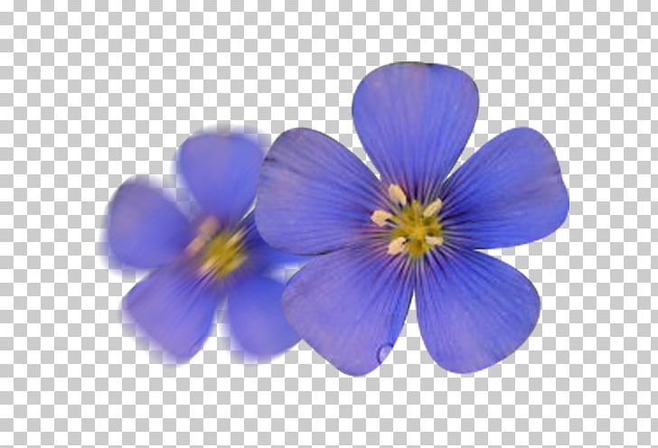 Flax Flower Seed PNG, Clipart, Blue, Download, Drawing, Euclidean Vector, Flax Seed Free PNG Download