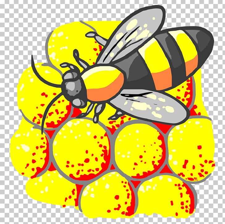 Honey Bee Monarch Butterfly Insect Bee Pollen PNG, Clipart, Animals, Apidae, Artwork, Beehive, Bee Pollen Free PNG Download