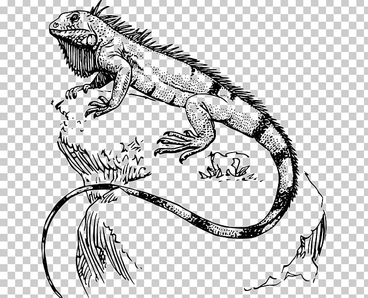 Lizard Reptile Polynesia Tattoo Green Iguana PNG, Clipart, Animals, Art, Artwork, Black And White, Common Iguanas Free PNG Download