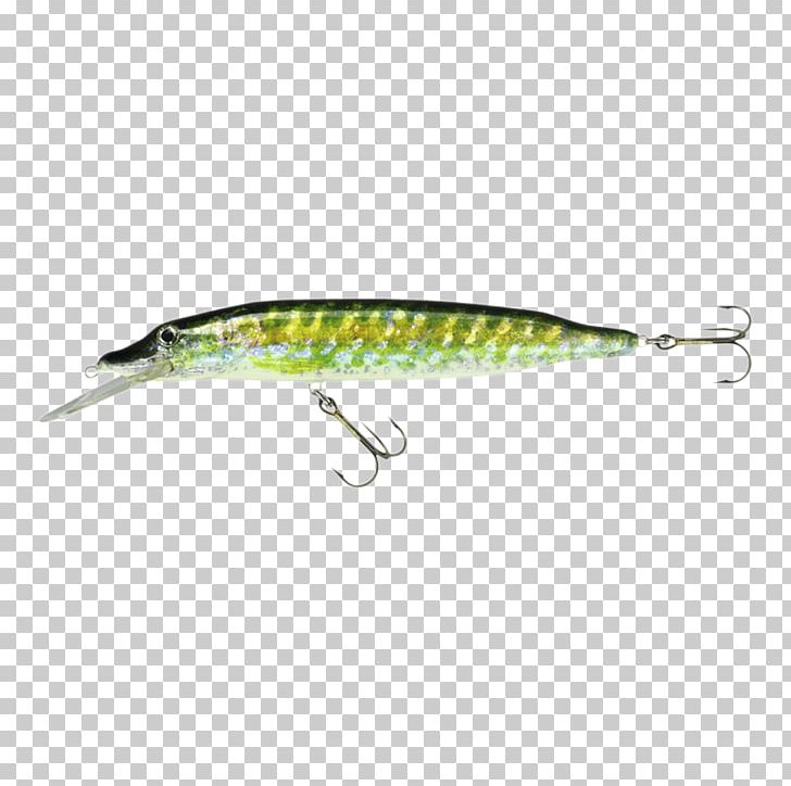 Spoon Lure Fishing Baits & Lures Perch Fisherman PNG, Clipart, Bait, Com, Fish, Fisherman, Fishing Bait Free PNG Download