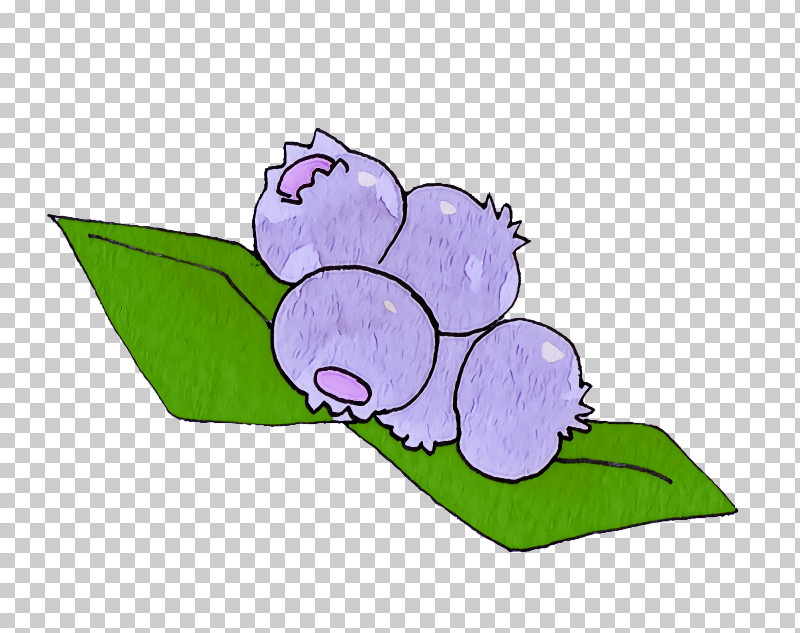 Vine PNG, Clipart, Fruit, Grape, Grape Leaves, Leaf, Petal Free PNG Download