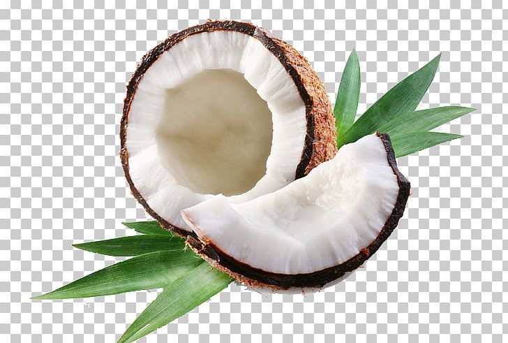 Coconut Milk Coconut Oil Thai Cuisine PNG, Clipart, Almond Oil, Butter, Child, Christmas Greenery, Coconut Free PNG Download
