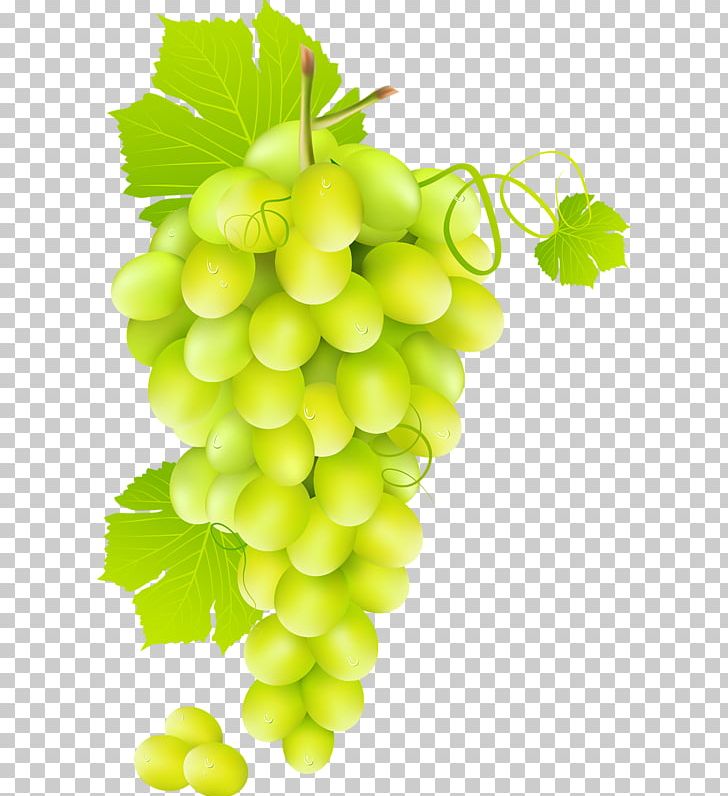 Wine Juice Common Grape Vine PNG, Clipart, Flowering Plant, Food, Fruit, Fruit Nut, Good Free PNG Download