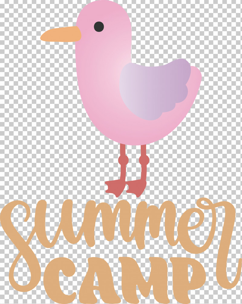 Summer Camp Summer Camp PNG, Clipart, Beak, Biology, Birds, Camp, Duck Free PNG Download