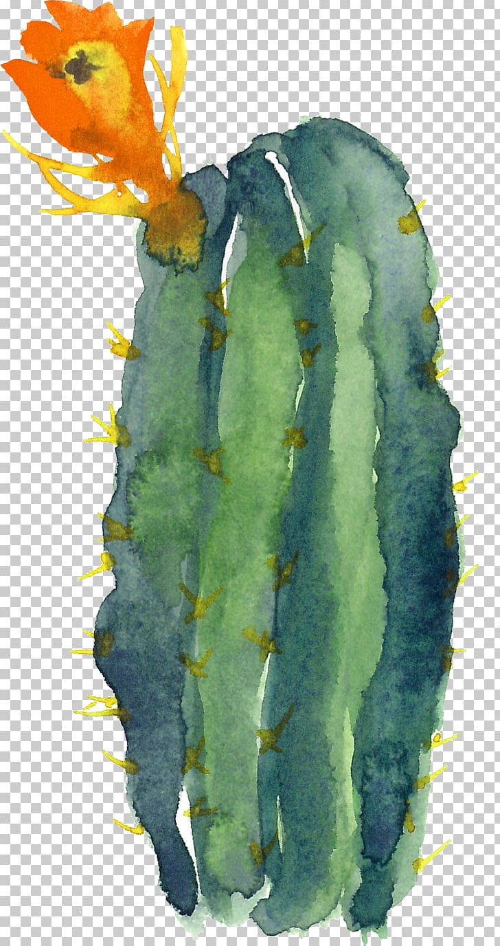 Cactaceae Modern Watercolor: A Playful And Contemporary Exploration Of Watercolor Painting PNG, Clipart, Birthday, Birthday Card, Cactus, Cactus Cartoon, Cactus Flower Free PNG Download