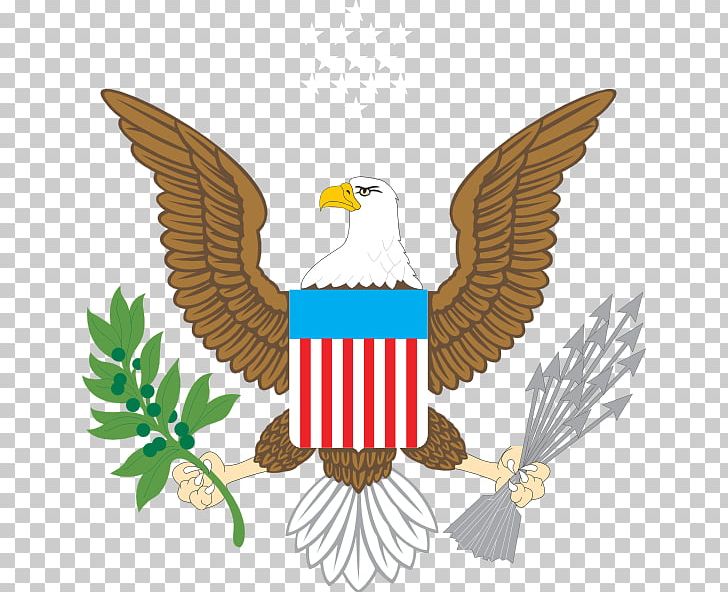 Great Seal Of The United States Bald Eagle Coat Of Arms Flag Of The United States PNG, Clipart, American Eagle, Bald Eagle, Beak, Bird, Bird Of Prey Free PNG Download
