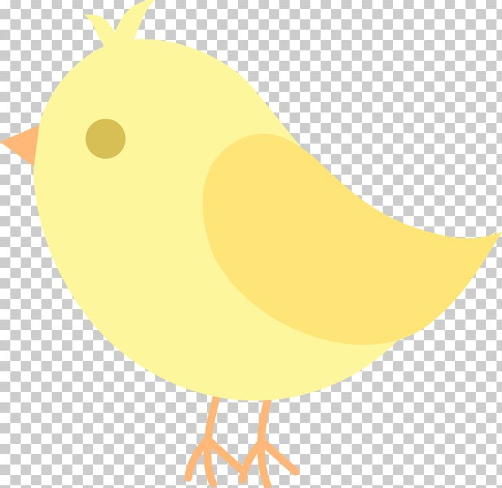Chicken Bird Beak PNG, Clipart, Beak, Bird, Chicken, Clip Art, Clipart Free PNG Download