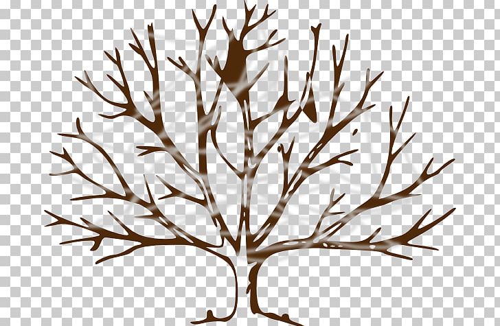 Drawing Tree Branch PNG, Clipart, Art, Black And White, Branch, Clip, Cobweb Free PNG Download