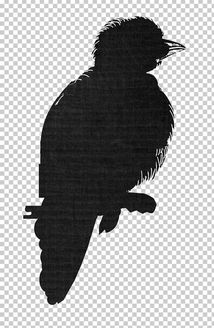 Eagle Fauna Silhouette Crow Beak PNG, Clipart, Animals, Beak, Bird, Bird Of Prey, Black And White Free PNG Download