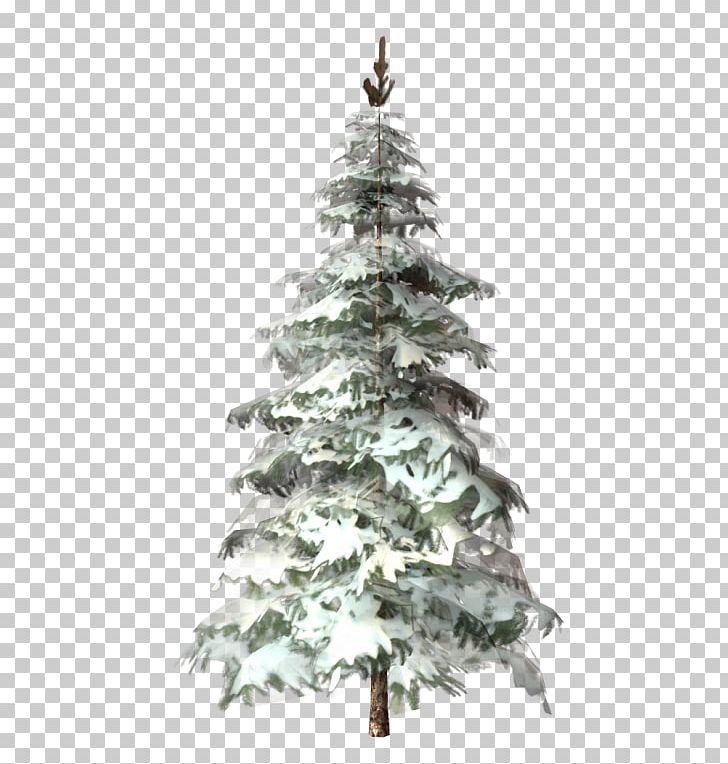 Christmas Tree Fir Spruce Christmas Day Pine PNG, Clipart, 5 December, 2015, Christmas, Christmas Day, Christmas Decoration Free PNG Download