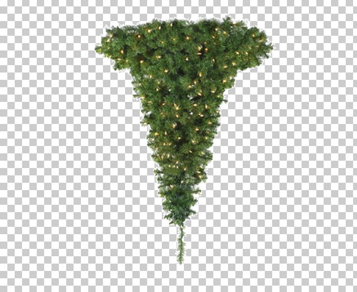 Pre-lit Tree Artificial Christmas Tree Christmas Tree Stands PNG, Clipart, Artificial Christmas Tree, Branch, Christmas, Christmas Ornament, Christmas Tree Free PNG Download