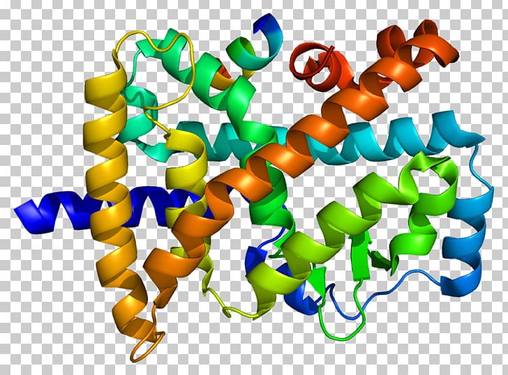RAR-related Orphan Receptor Beta RAR-related Orphan Receptor Gamma Nuclear Receptor PNG, Clipart, 1 K, Entrez, Gene, Genome, K 4 Free PNG Download