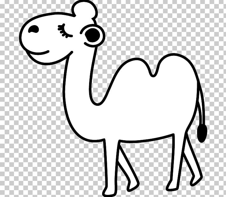 Camel Wildlife Illustration Black And White Horse PNG, Clipart, Animal, Animal Figure, Animals, Beak, Black And White Free PNG Download