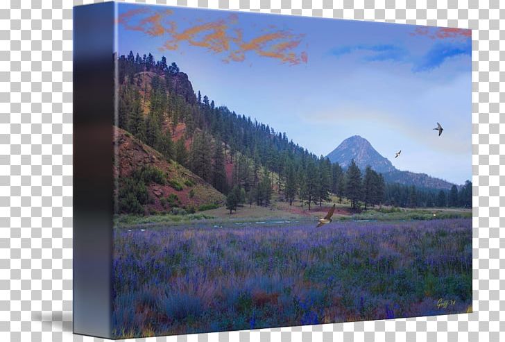 Mount Scenery National Park Frames Inlet PNG, Clipart, Inlet, Landscape, Lavender Fields, Meadow, Mountain Free PNG Download