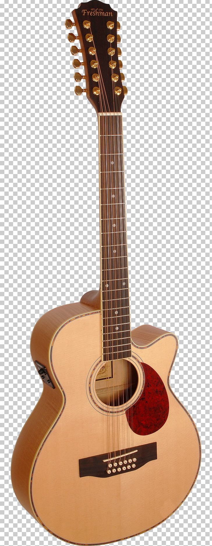 Twelve-string Guitar Takamine Guitars Dreadnought Cutaway Acoustic Guitar PNG, Clipart, 1 Am, Classical Guitar, Cuatro, Cutaway, Electro Free PNG Download