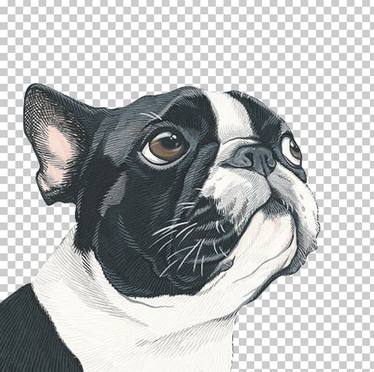 Dog Portrait Painting Art Illustration PNG, Clipart, Animals, Artist, Boston Terrier, Bulldog, Carnivoran Free PNG Download