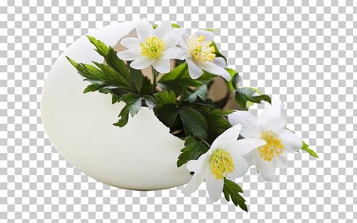 Easter Bunny Holiday Blahoželanie PNG, Clipart, Barre, Blossom, Branch, Cut Flowers, Day Free PNG Download
