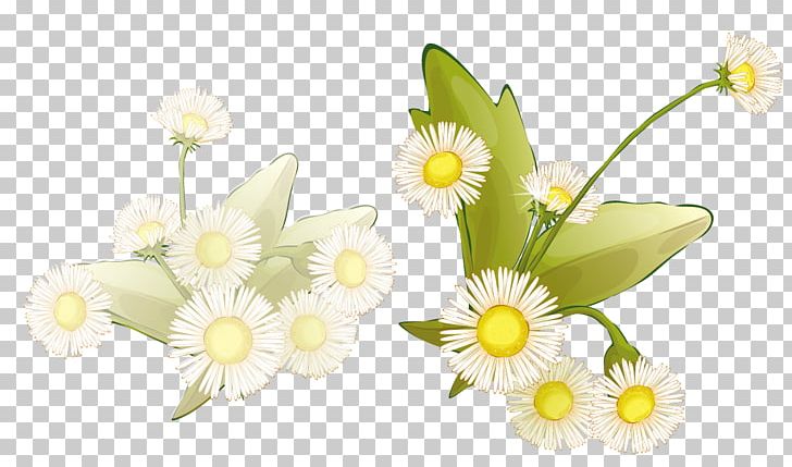 Frame Flower Drawing PNG, Clipart, Art, Color, Encapsulated Postscript, Floral, Flow Free PNG Download