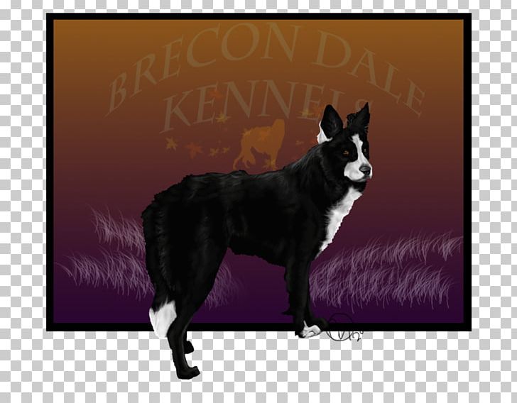 Dog Breed Schipperke Karelian Bear Dog Border Collie Lapponian Herder PNG, Clipart, Border Collie, Boston Terrier, Breed, Breed Group Dog, Carnivoran Free PNG Download