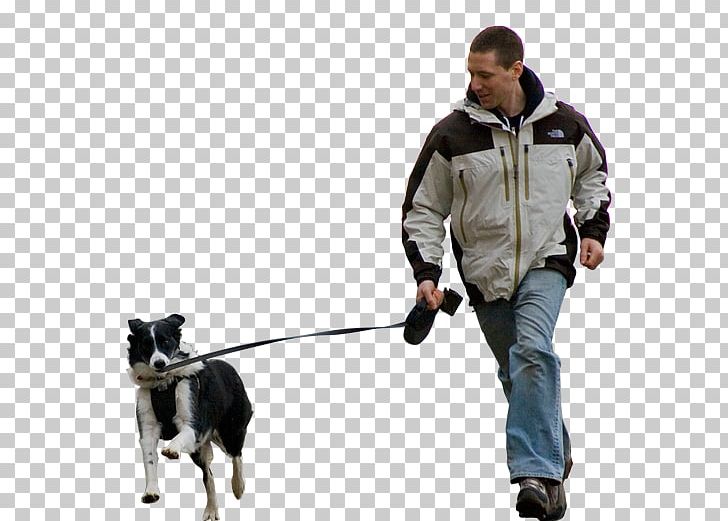 Dog Walking Pet Sitting Dog Breed Shar Pei PNG, Clipart, Chien, Dog, Dog Breed, Dog Food, Dog Like Mammal Free PNG Download