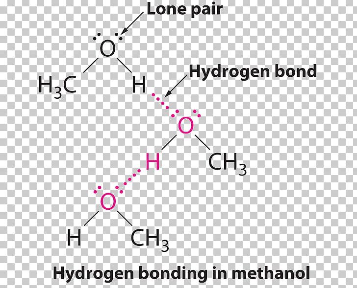 Intermolecular Force Hydrogen Bond Chemical Bond Molecule Chemistry PNG, Clipart, Angle, Area, Atom, Chemical Bond, Chemical Structure Free PNG Download