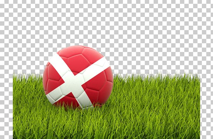Portugal National Football Team 2018 World Cup Football Pitch Football Player PNG, Clipart, 2018 World Cup, Artificial Turf, Computer Wallpaper, Desktop Wallpaper, Flag Free PNG Download