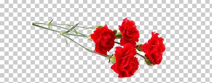 Carnation Stock Photography Flower Red PNG, Clipart, Artificial Flower, Bouquet, Cut Flowers, Floral Design, Floristry Free PNG Download