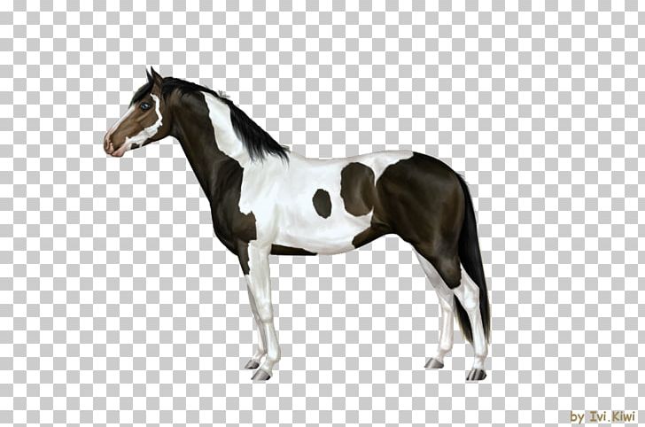 Stallion Mustang Rein Mare Horse Harnesses PNG, Clipart, Animal Figure, Bridle, Criollo, Dog Harness, Halter Free PNG Download