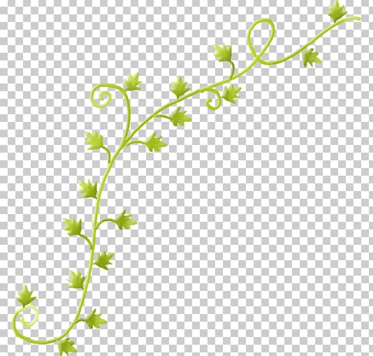 Vine Leaf Twig Plant PNG, Clipart, Branch, Flora, Flower, Flowering Plant, Grass Free PNG Download