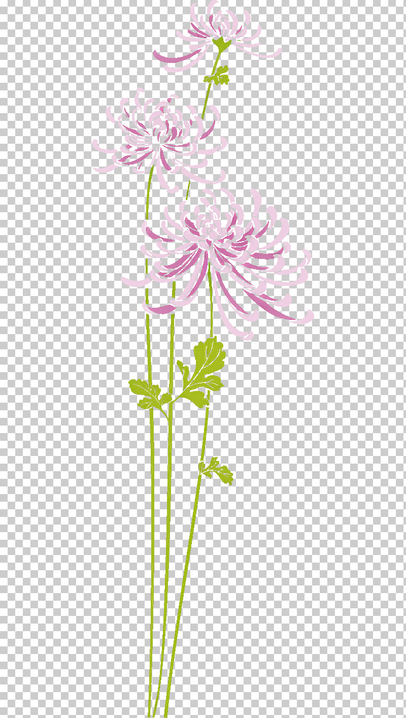 Chrysanthemum Chrysanths PNG, Clipart, Artificial Flower, Chrysanthemum, Chrysanths, Floral Design, Flower Free PNG Download