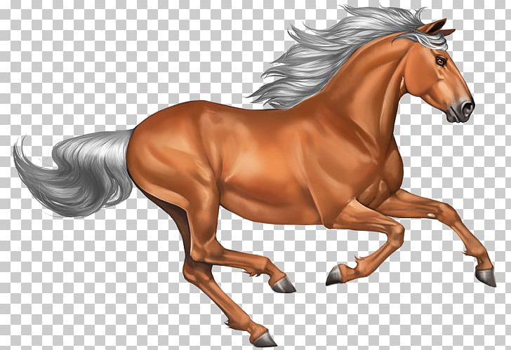 Mustang Pony Stallion PNG, Clipart, Animal, Animal Figure, Bridle, Domestic Animal, Download Free PNG Download