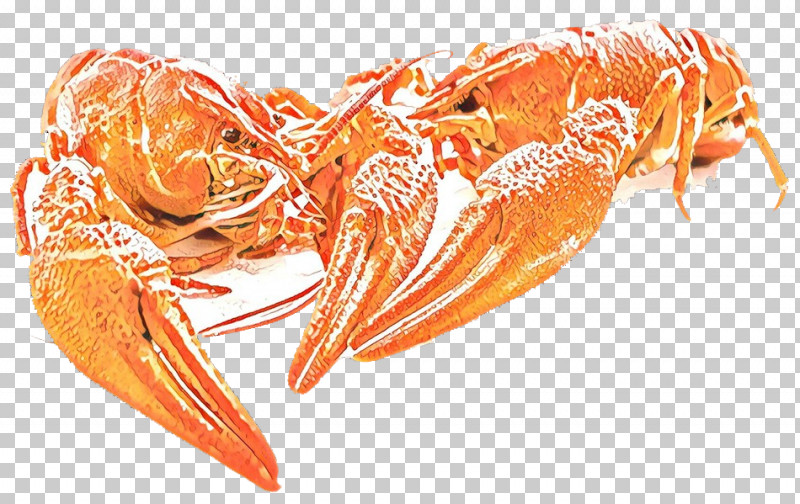 Litopenaeus Setiferus Shrimp Botan Shrimp Dendrobranchiata Lobster PNG, Clipart, Botan Shrimp, Caridean Shrimp, Crayfish, Dendrobranchiata, Food Free PNG Download